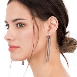 Mixed Metal Fringe Earrings